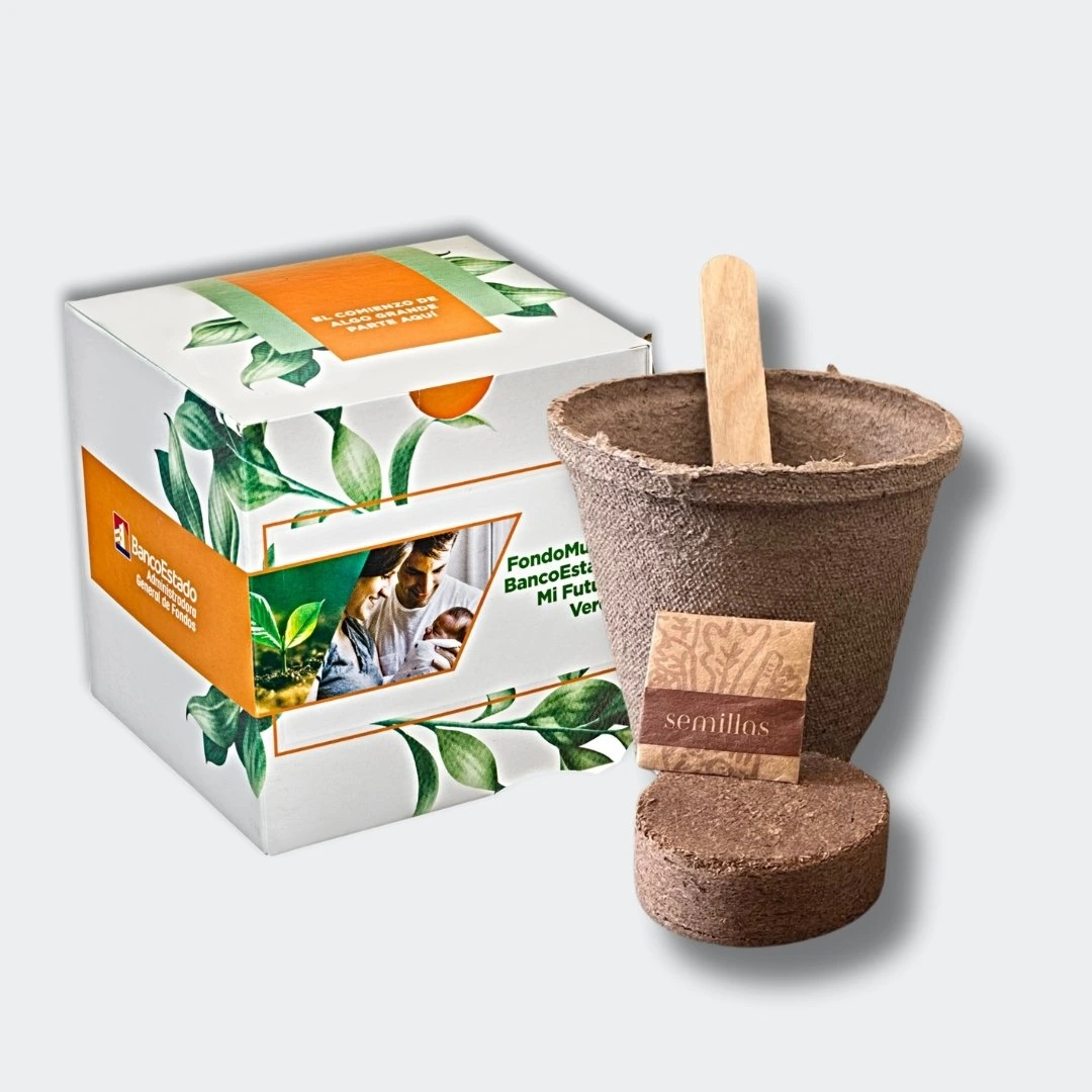 kit de siembra con caja personalizada