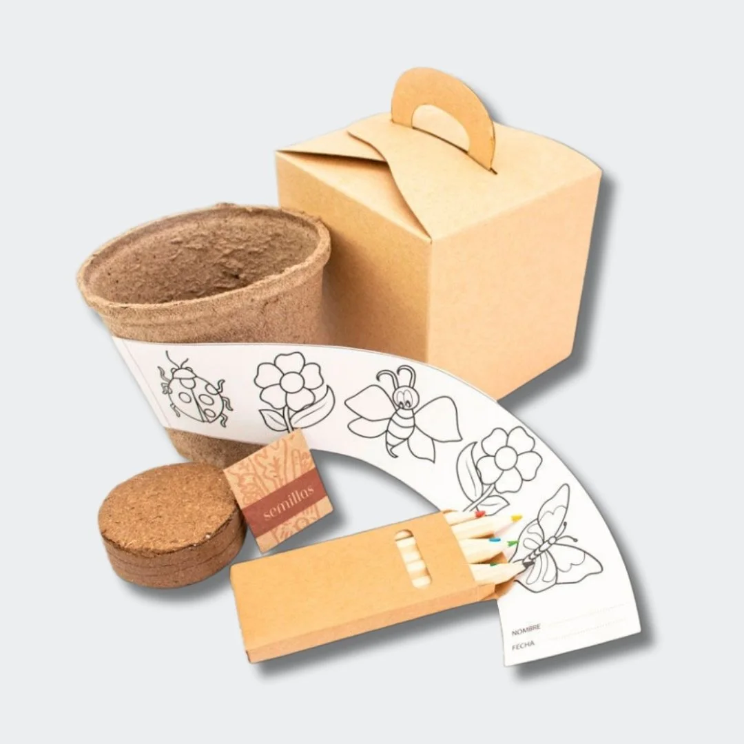 kit de siembra para niños con elementos para colorear