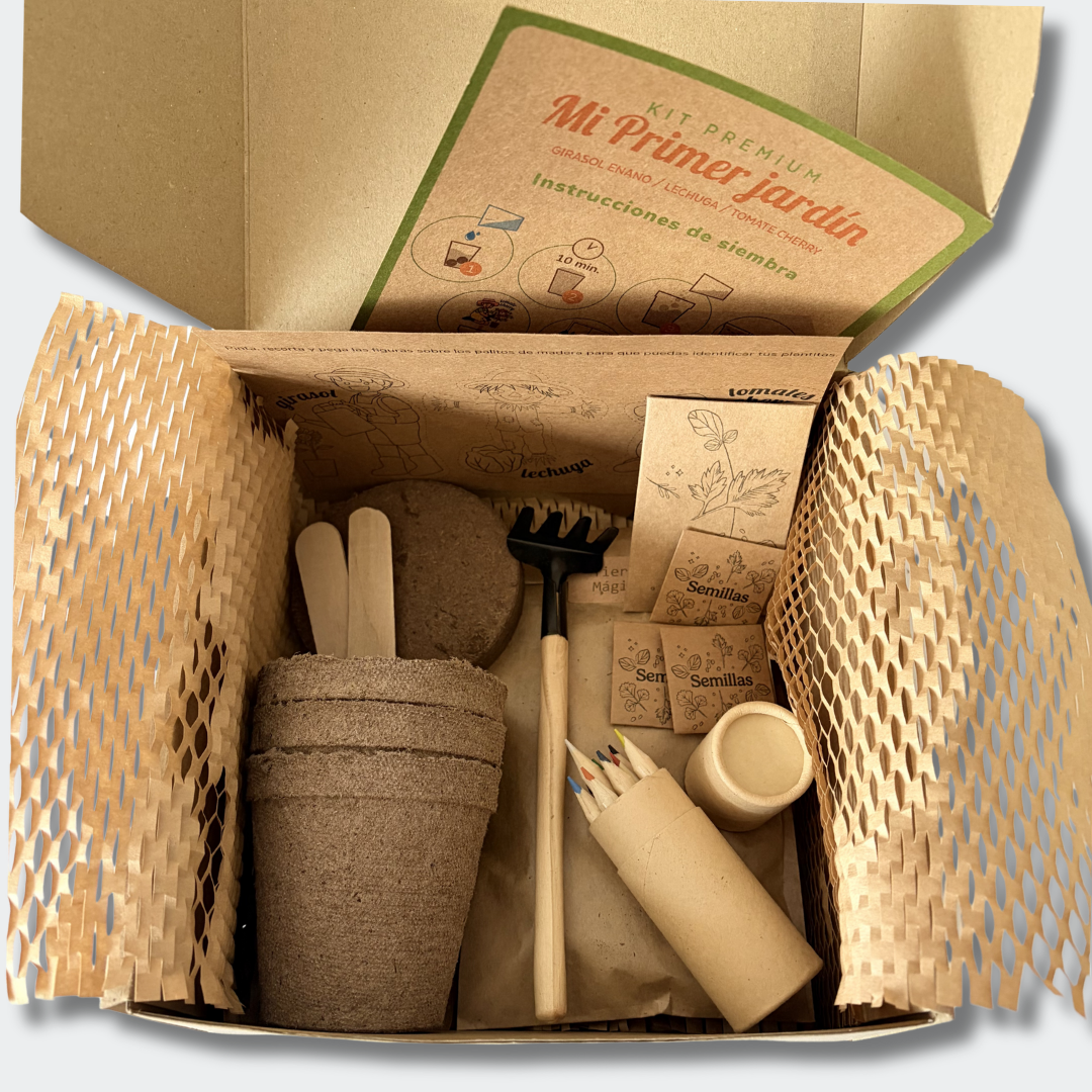 contenido kit de siembra para niños