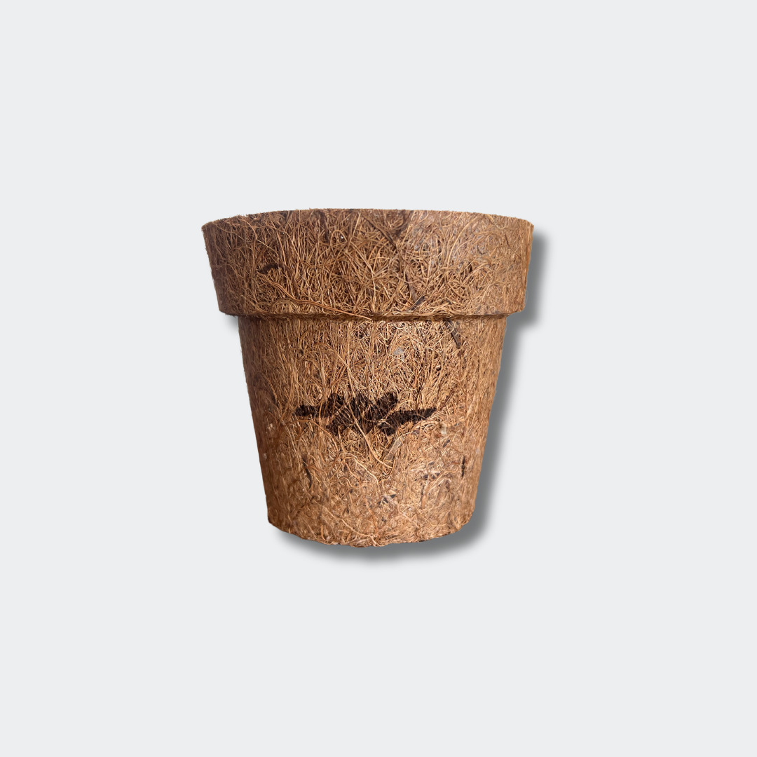 macetero de fibra de coco grabado láser con logo de la empresa