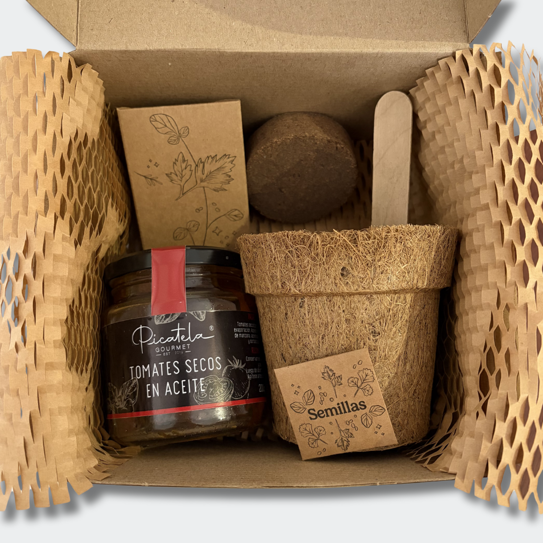 kit de siembra con pasta de tomate